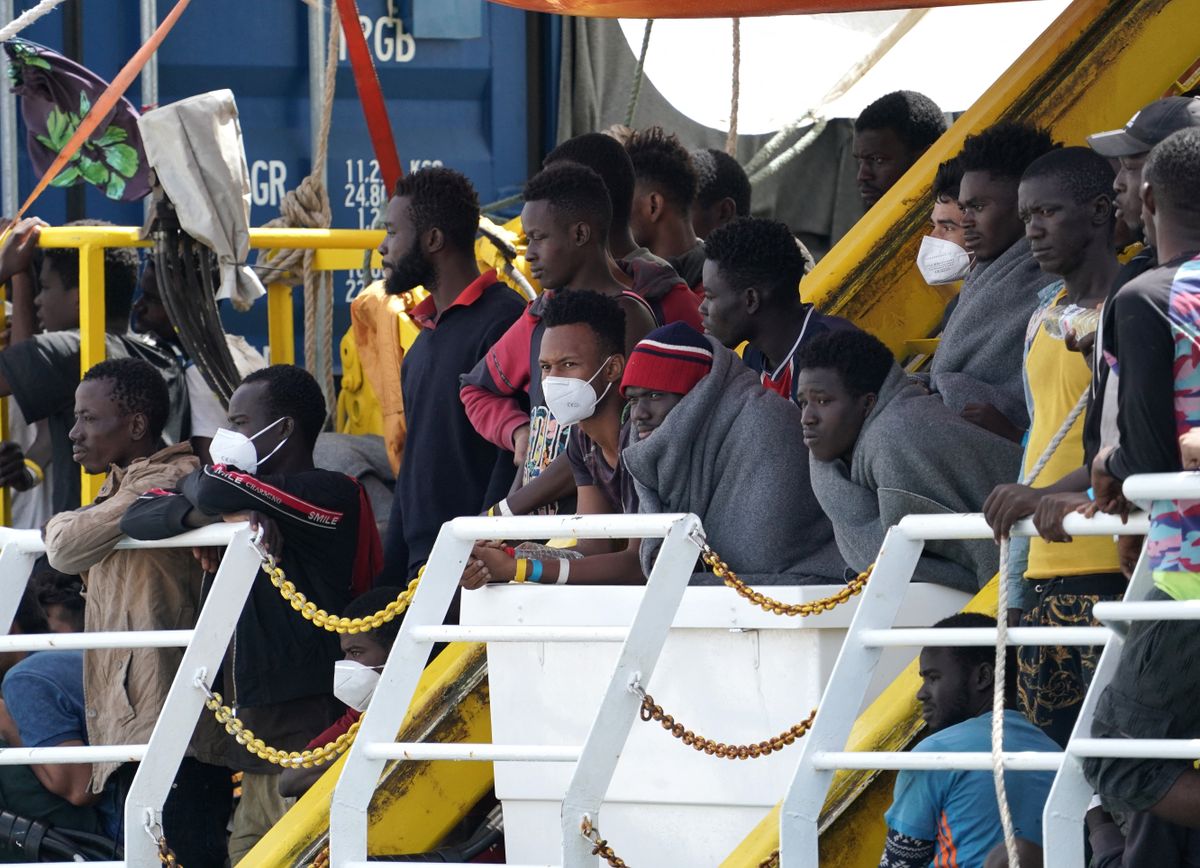 Nem ez volt az egyetlen eset, ahol egy migráns sokkoló dolgokat követett el egy állat ellen