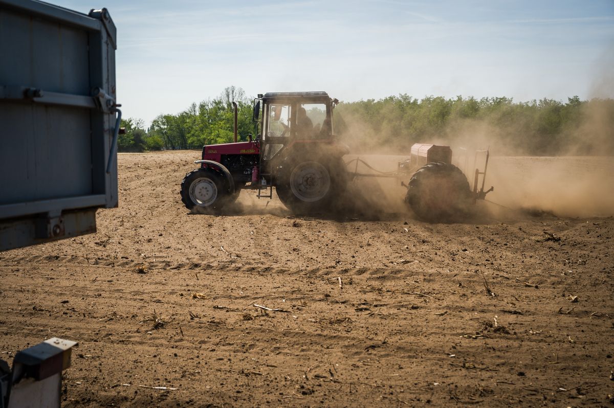 Ha folytatódik a száraz és meleg időjárás, a mezőgazdaságnak fel kell készülnie az öntözési költségek megemelkedésére vagy a terméskiesésre/ Fotó: Németh András Péter