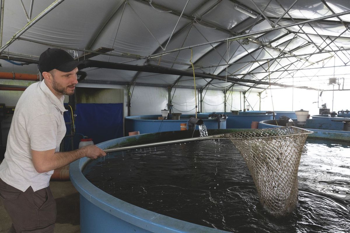 Nagyot fordult a világ Hetényi Zoltánnal, ma már a halak is fontos szerepet játszanak az életében, de még a jégkorong sem szorult háttérbe 