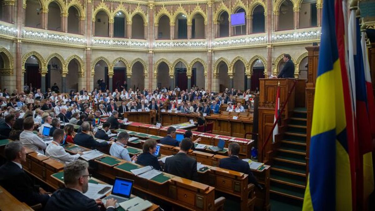 Peter Magyar Envisions a Button-Pushing Role for Tisza Party Novice Lawmakers