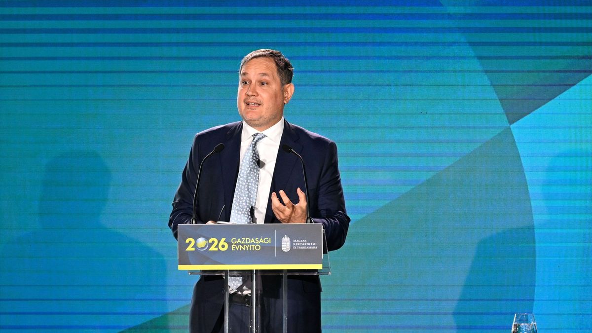 Nagy Márton visszavonul a politikától