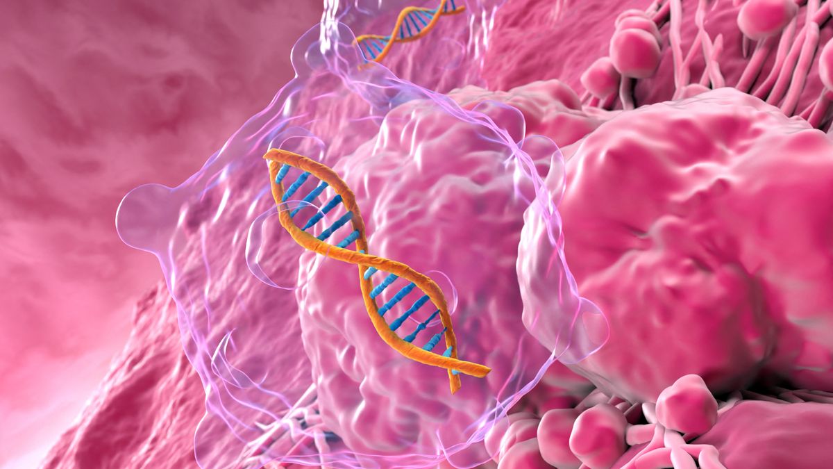 Itt az áttörés a rákkutatásban, műtét és kemó nélkül is eltűnhet a daganat – valós gyógyulások ezrei előtt állunk