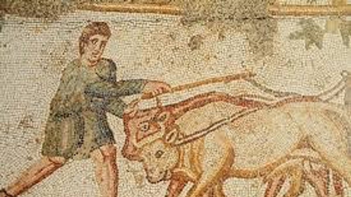 Macskajaj ellen sült kecsketüdőre esküdtek a bizánciak (+ videó)