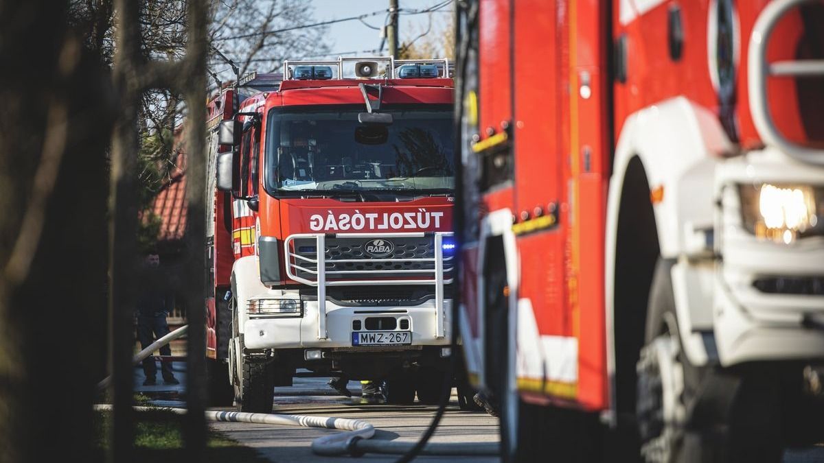 Több környékbeli település tűzoltói dolgoznak a tűz elfojtásán 
