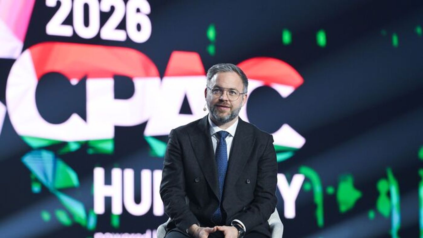 Balazs Orban, the Hungarian prime minister's political director (Source: MTI/Noemi Bruzak)