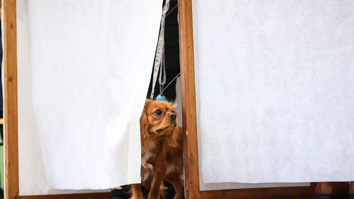 szavazás választás