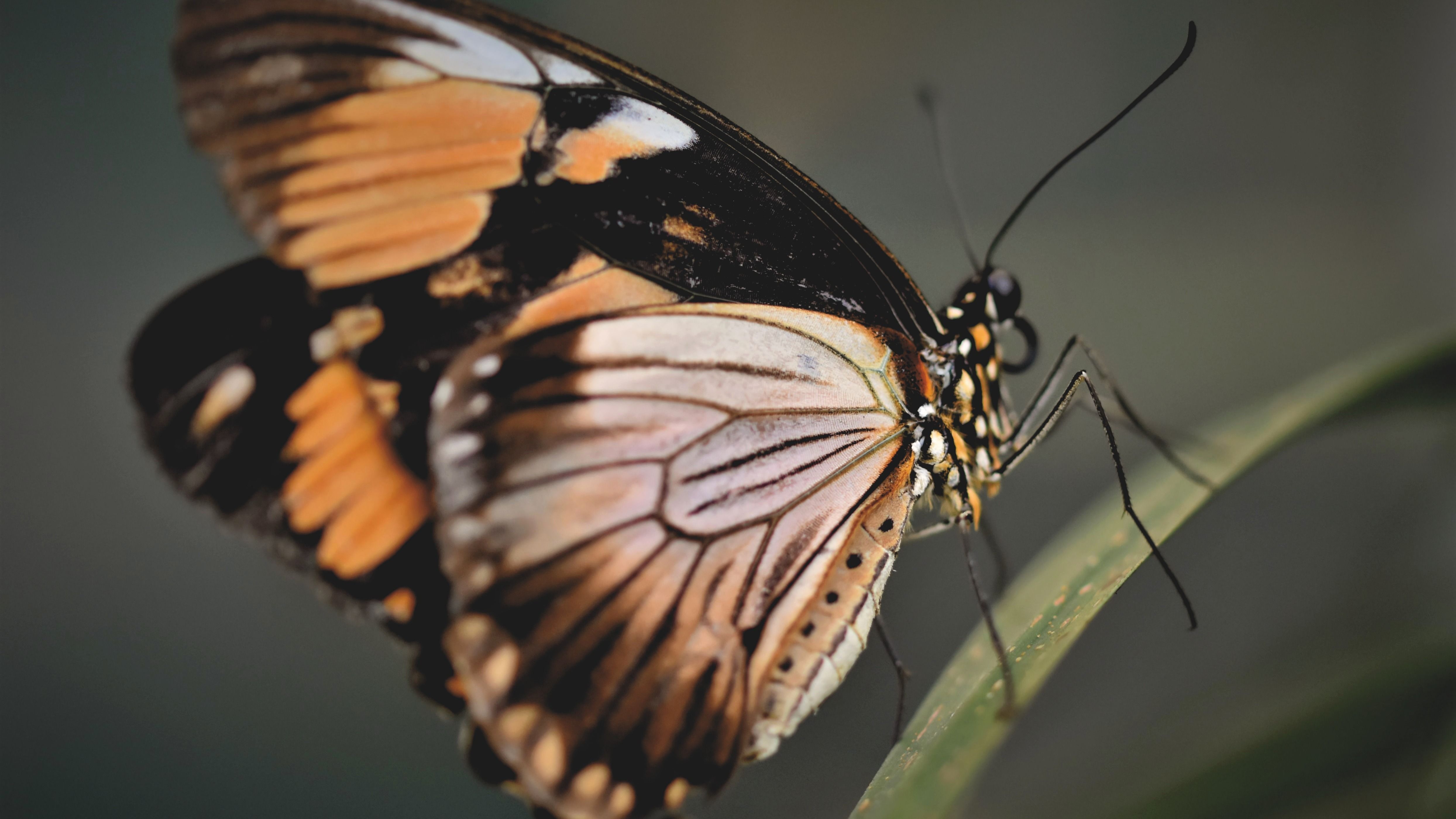 Kvíz kérdést ábrázoló kép.
