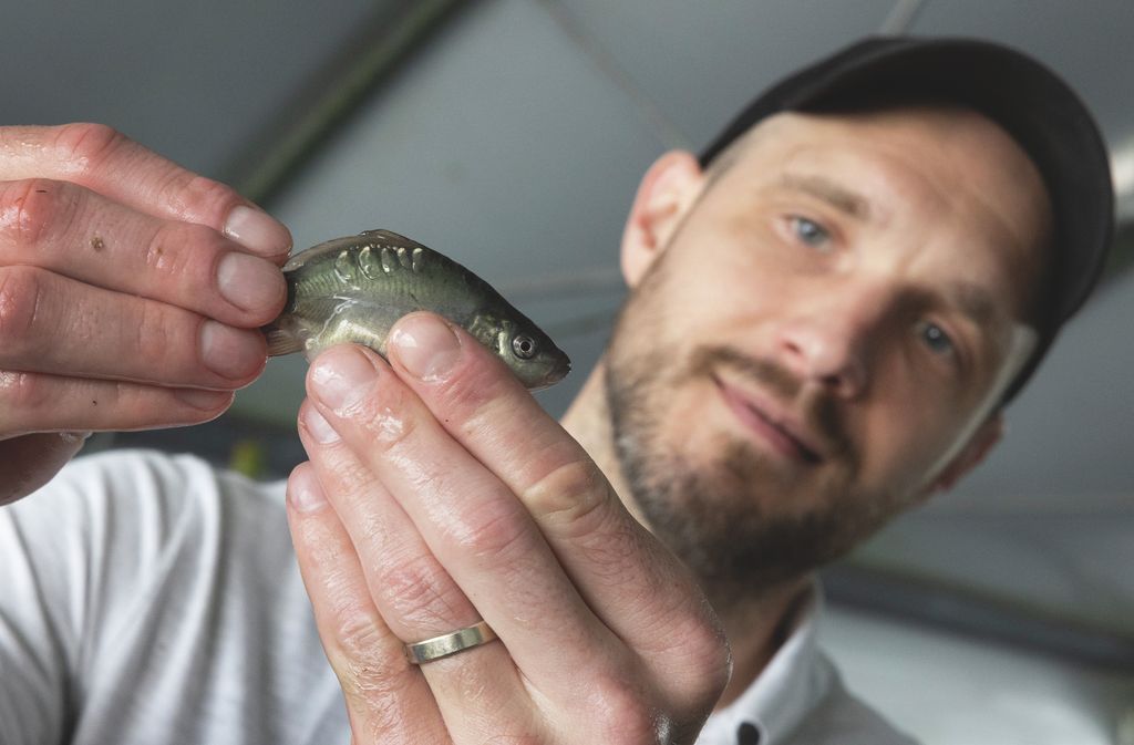 20260416 Debrecen
Hetényi Zoltán jégkorongkapus
fotó: Mirkó István (MI)
MW