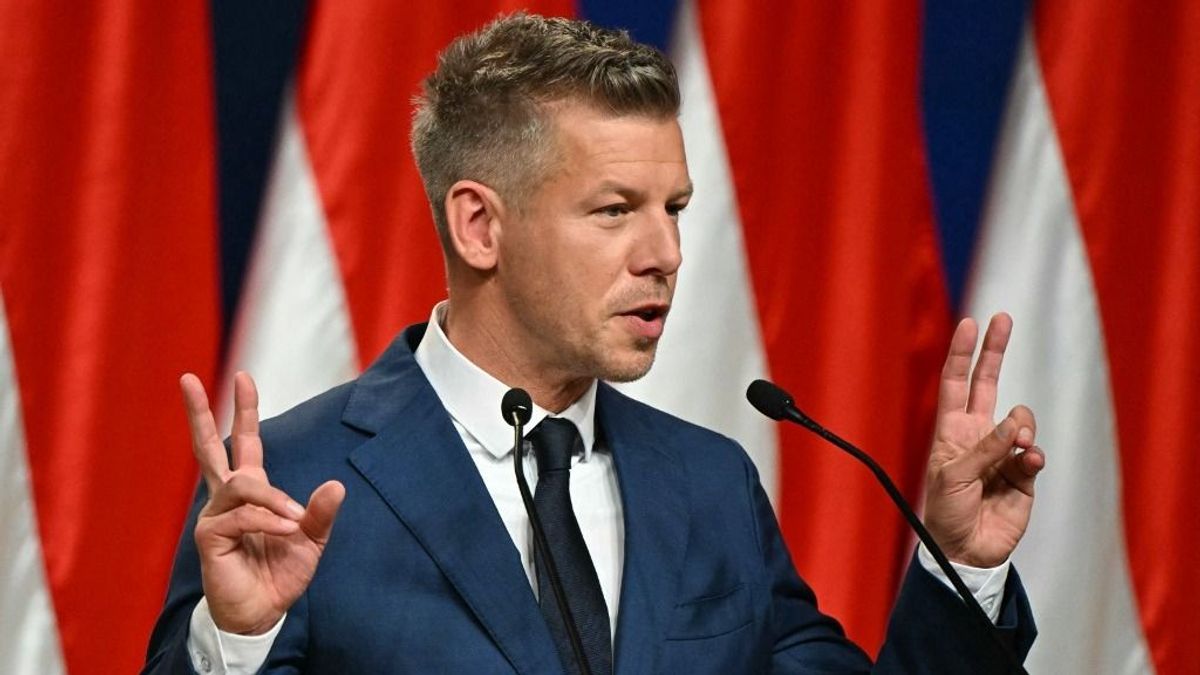 Magyar Péter Beregszászon találkozna az ukrán elnökkel júniusban