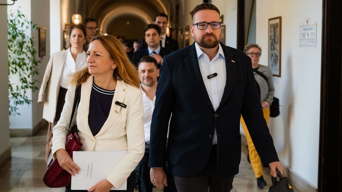 Fontos döntés elé néznek a pozícióhalmozó tiszások, le kell mondaniuk a mandátumukról