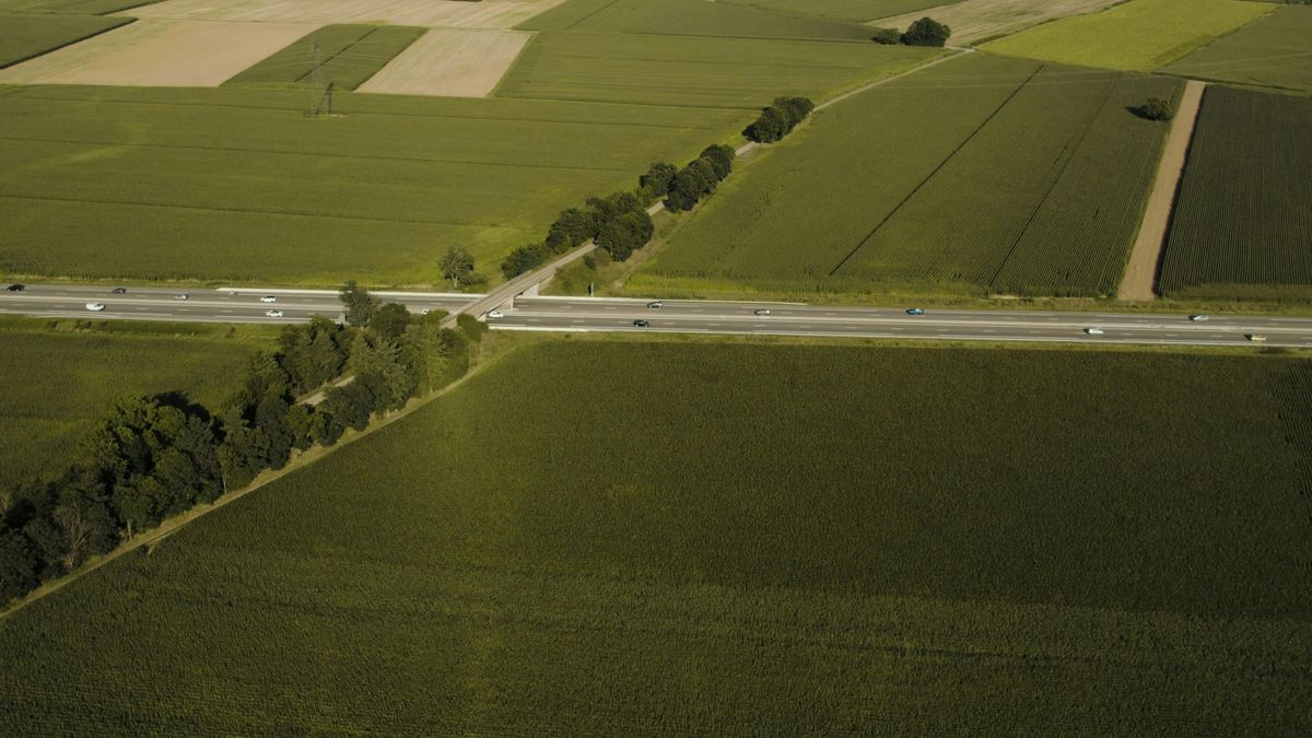 Nyugodtan autózgatott a szabadnapos rendőr, de minden tervét keresztülhúzta az út szélén fekvő férfi