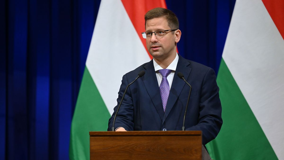 Magyar Péter régóta tud a háborús veszélyről, de átveri a magyarokat + videó