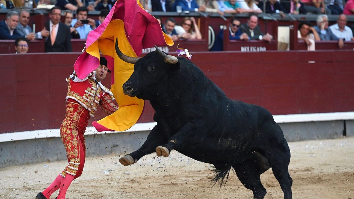 Halálos tragédia a bikaviadal előtt: egykori matadort öklelt fel a bika Málagában