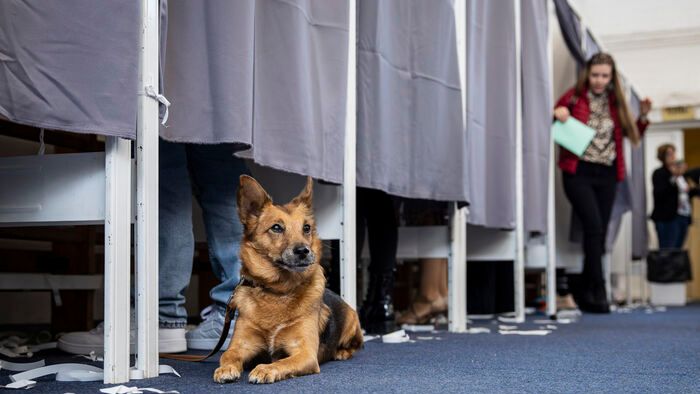 választás szavazás