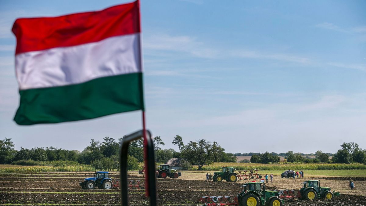 Miért kockázatnán a jelenlegi,jók működő modellt a Tisza Párt gazdaellenes terveiért? / Fotó: MW/Székelyhidi Balázs