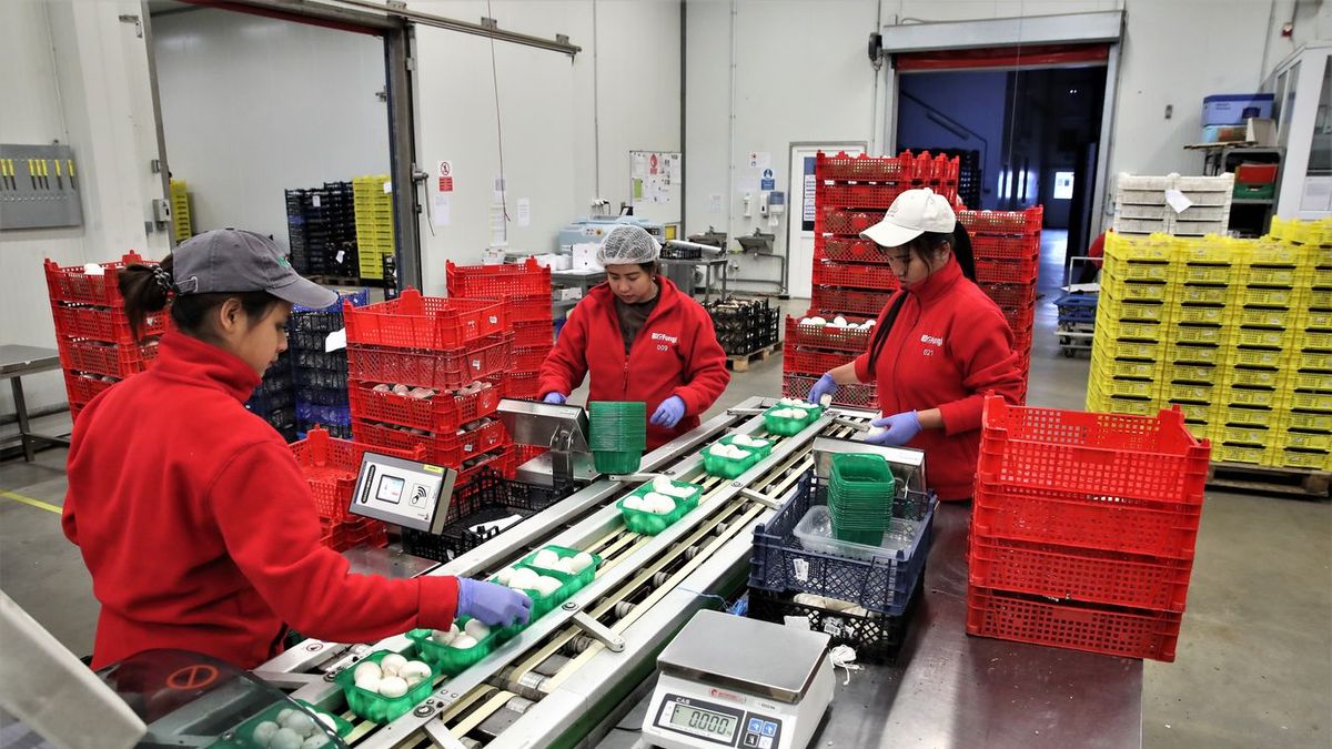 A Fidesz vállalta és megcsinálta – Több tízmilliárd forintot hagy a kormány a kisvállalkozásoknál évente