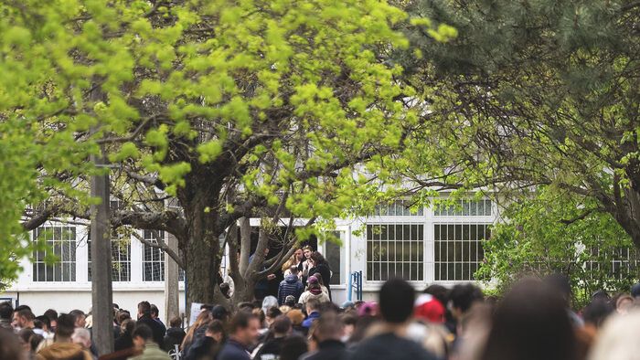 szavazás, választás sor