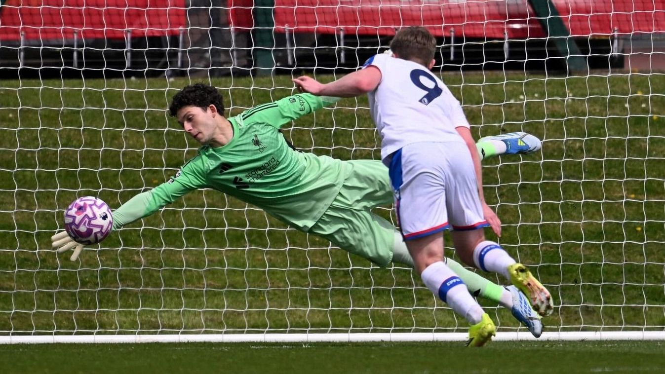 Többször is kiemelték a magyar kapust.