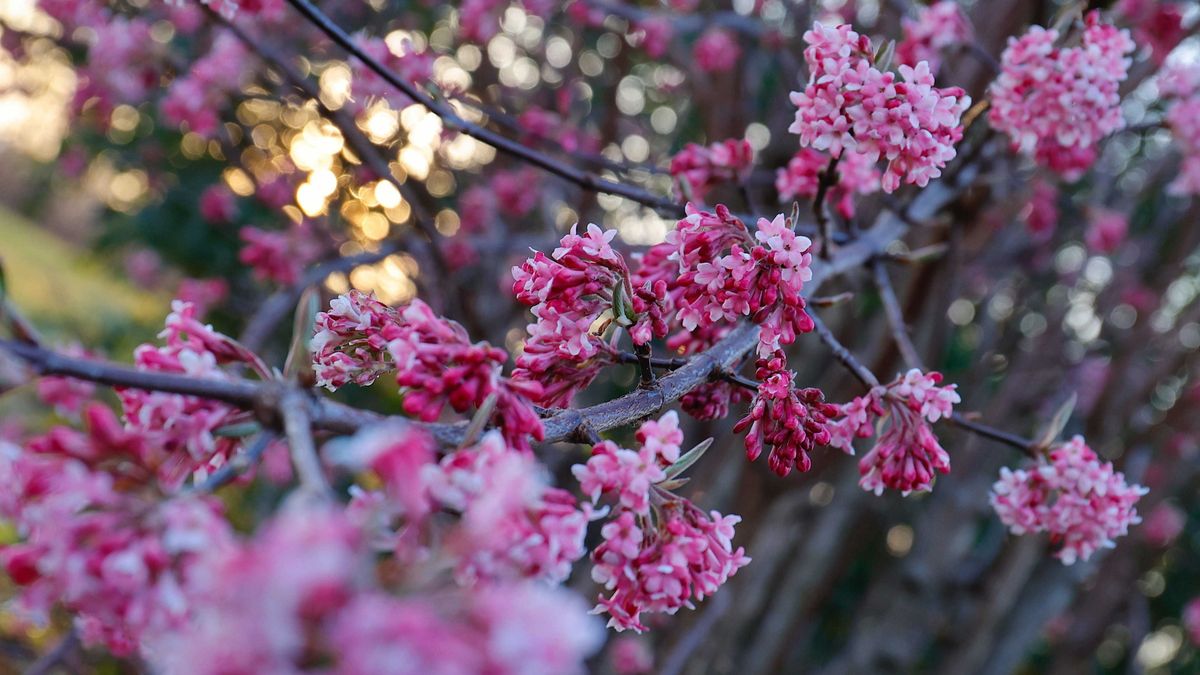 Ami elfagyhatott, elfagyott, ami kiszáradhat, jó eséllyel ki fog száradni