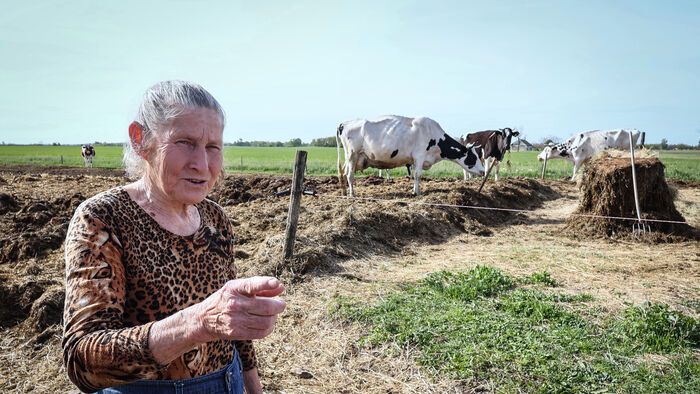 Élet a ceglédi tanyavilágban