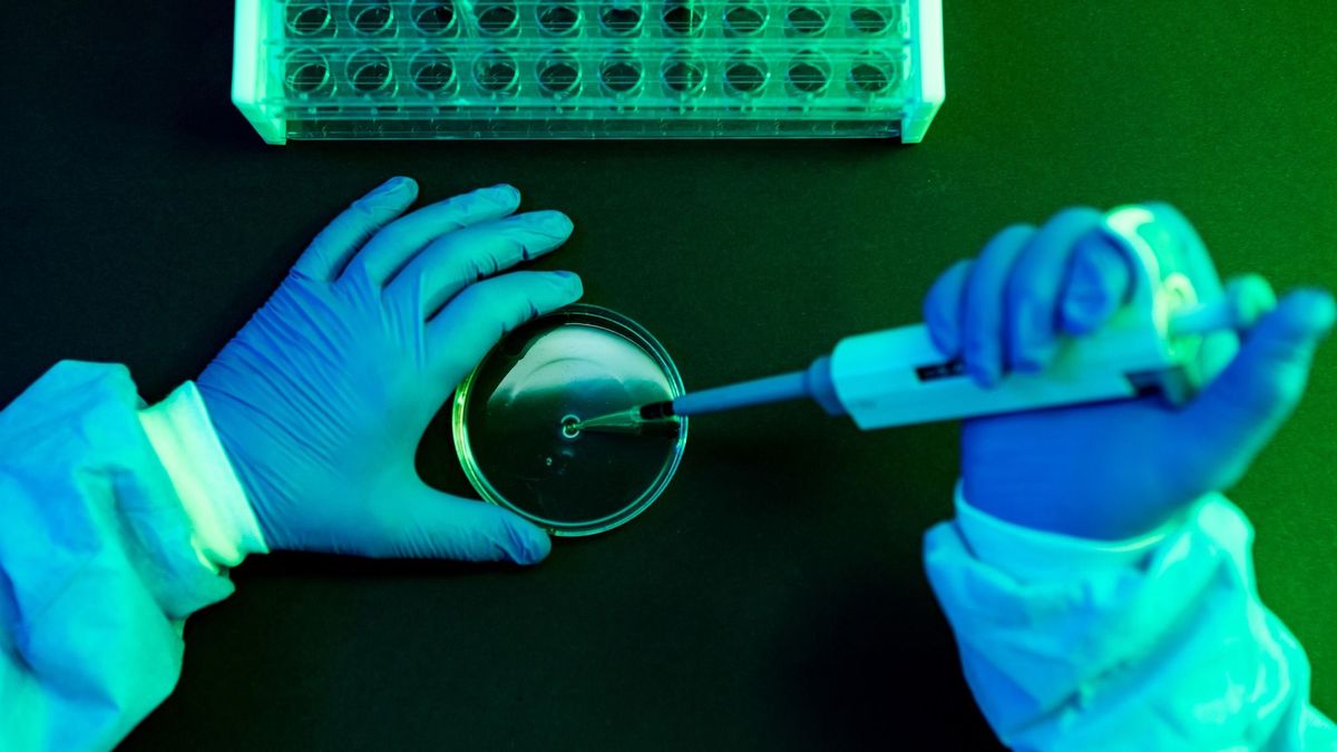 Hivatalos: járvány tört ki egy hazai városban, amely egyúttal járásközpont is