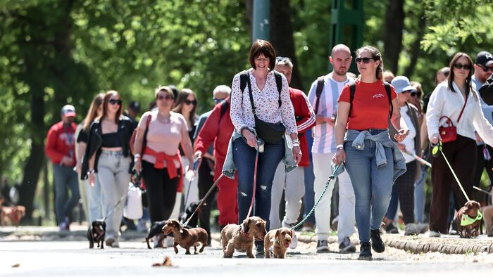 Dogz Fesztivál a Városligeti Nagyréten
majális
május 1.