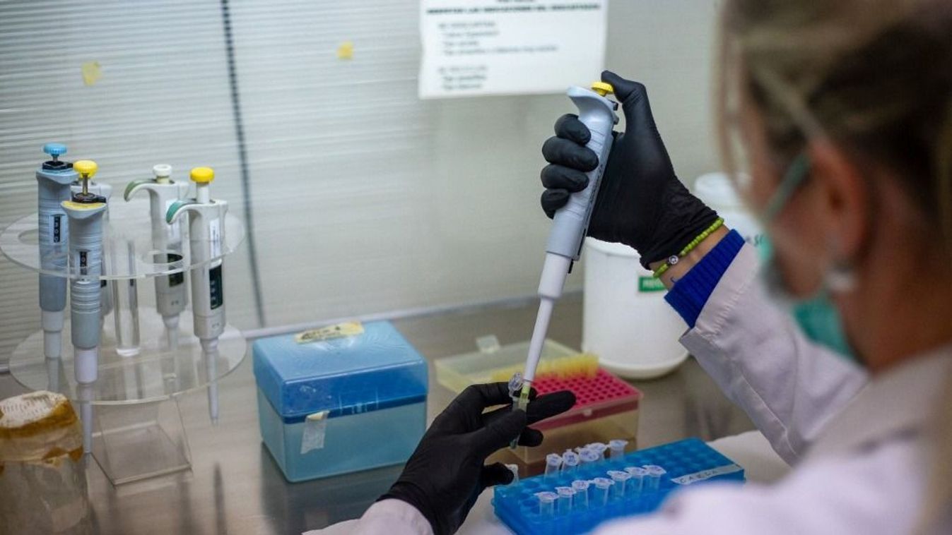 Illusztráció: Laboratórium