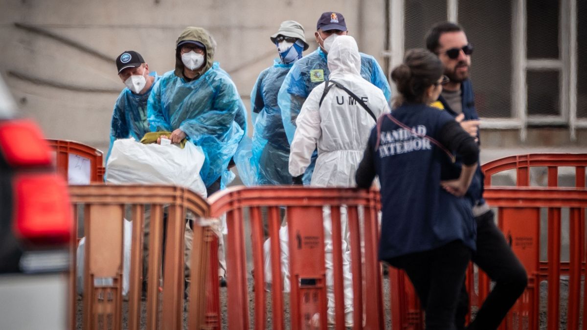 Hantavírus: az infektológus szerint ezek a legfontosabb teendők a betegség elkerüléséhez