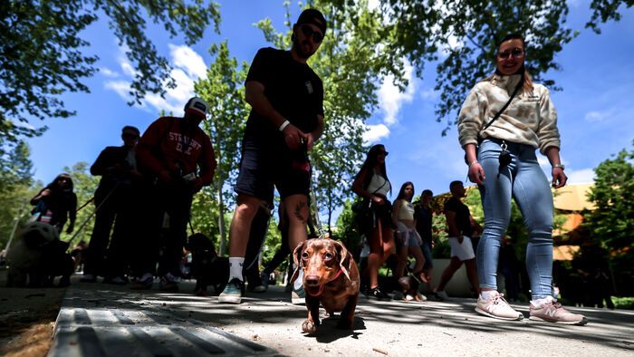 Dogz Fesztivál a Városligeti Nagyréten
majális
május 1.
