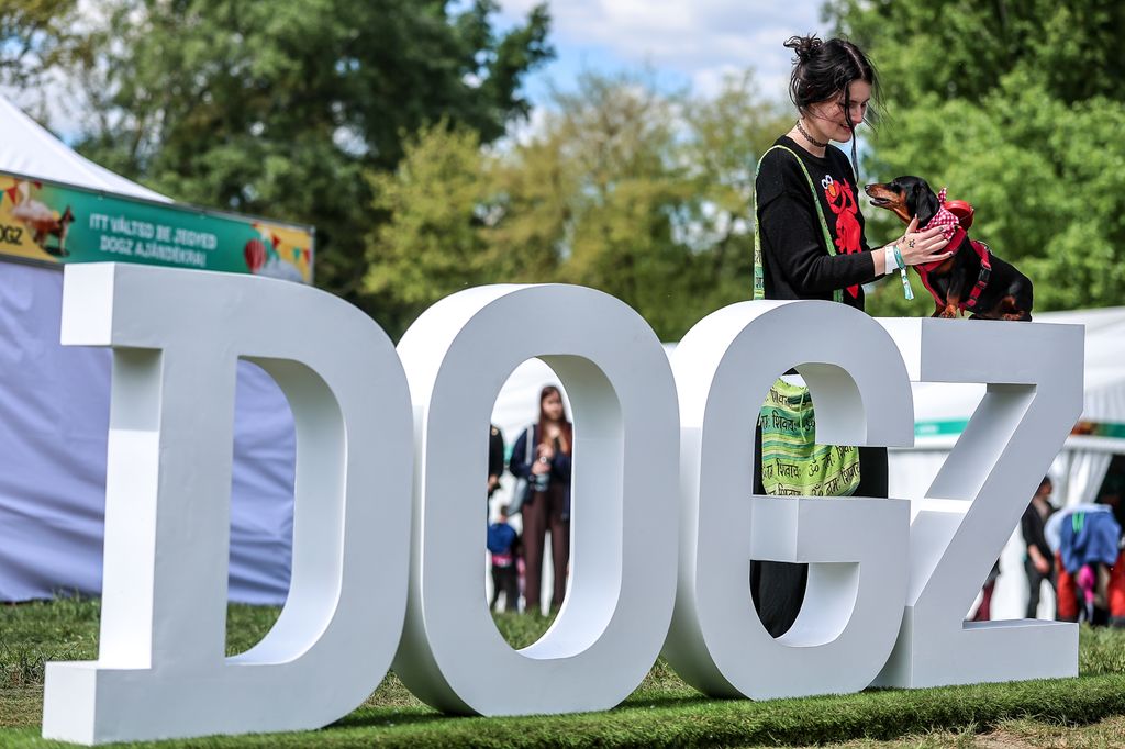 Dogz Fesztivál a Városligeti Nagyréten
majális
május 1.