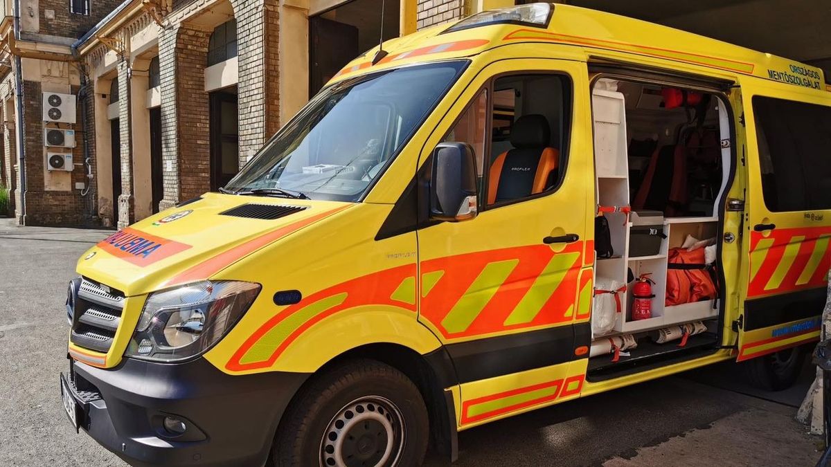 Man lost in mountains with dogs survives, suffers smoke inhalation