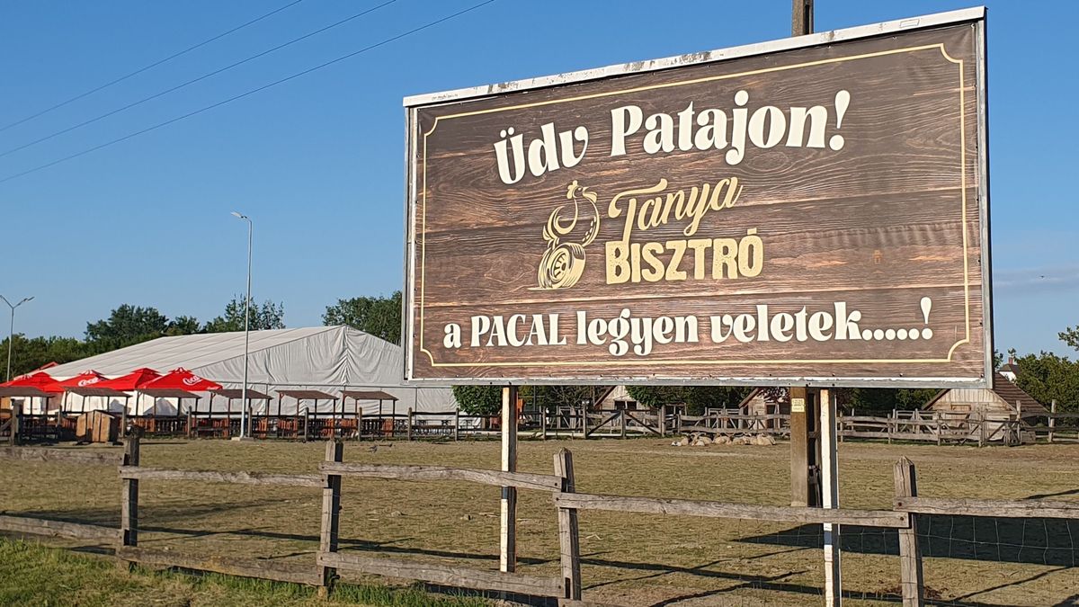 Pacalmajális Dunapatajon