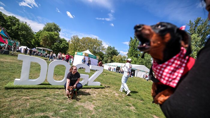 Dogz Fesztivál a Városligeti Nagyréten
majális
május 1.
