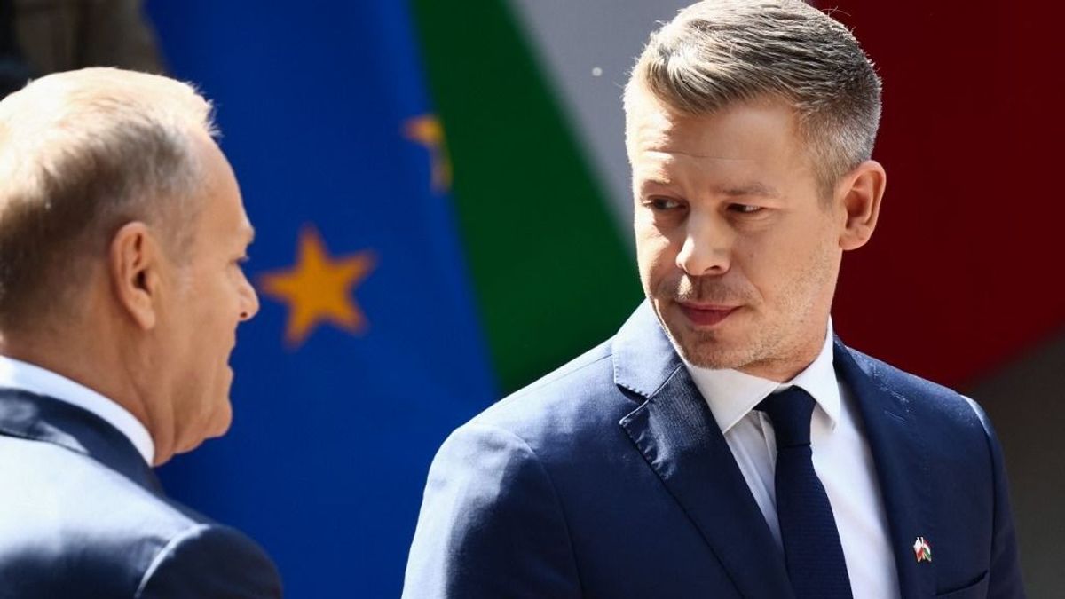 Van itt minden, a bosszúvágytól az apakomplexusig