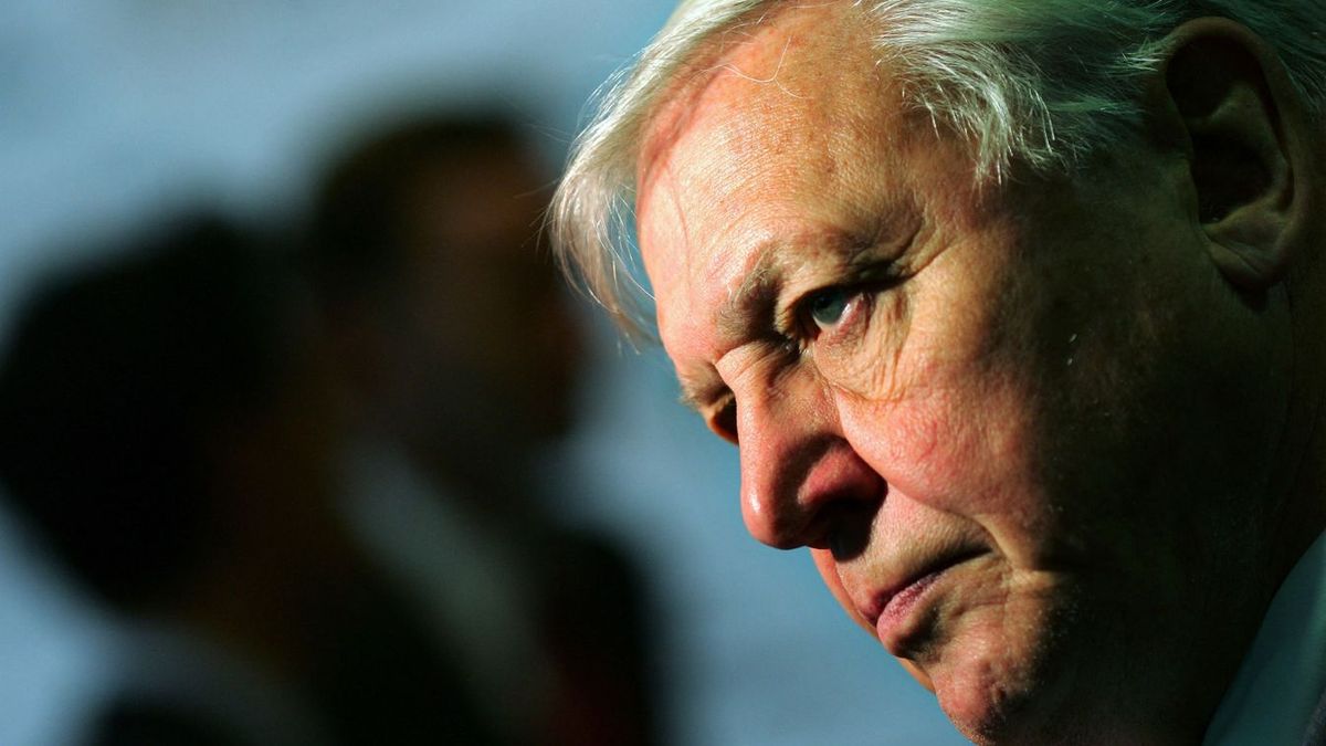100 éves David Attenborough őszintén bevallotta: ettől az egy dologtól rettegett egész életében