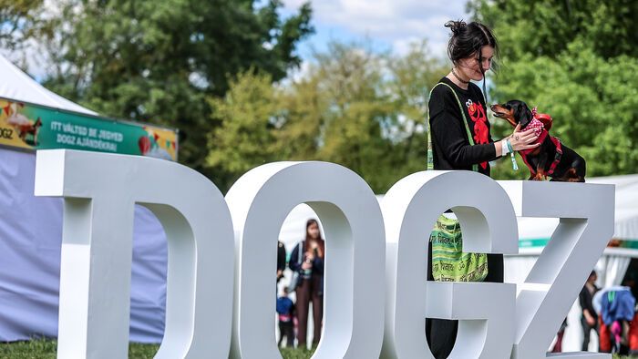 Dogz Fesztivál a Városligeti Nagyréten
majális
május 1.