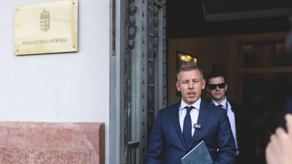 Több bírósági vezetői pozíciót is betöltött Magyar Péter anyja az Orbán-kormányok alatt