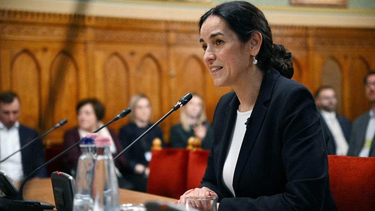 Nem derült ki, mire készül a Tisza Párt az EU-ban