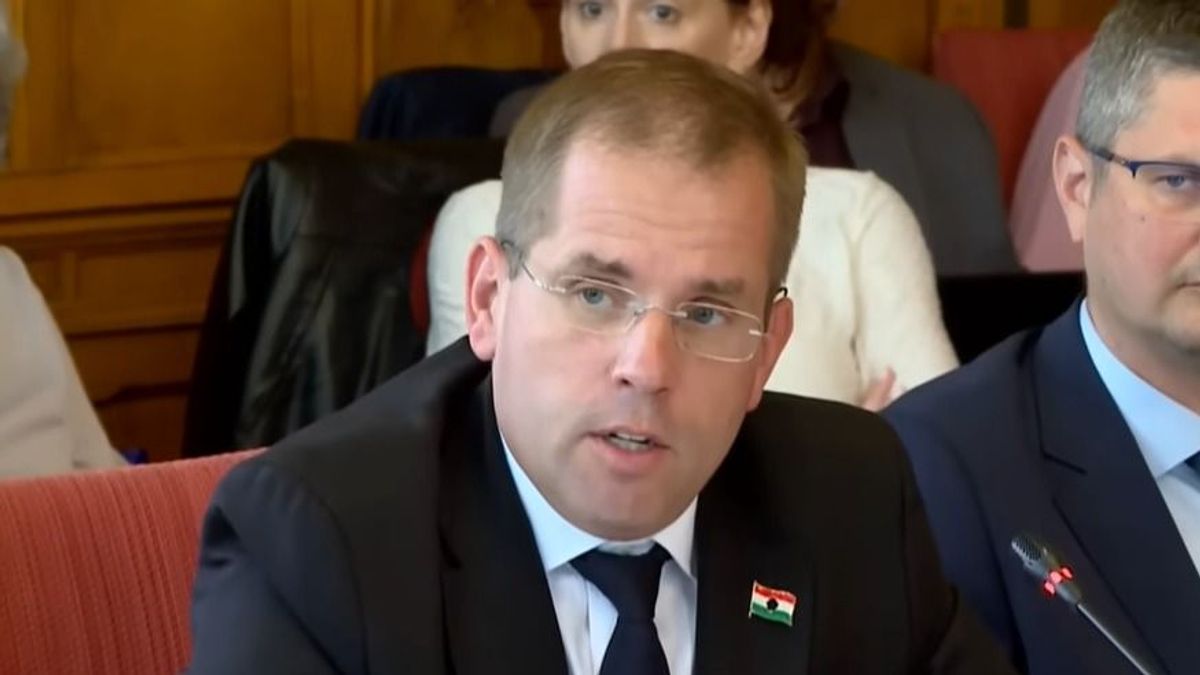 Az egykori SZDSZ Ruff Bálint személyében miniszterelnök-helyettesi pozíciót kapott az új kormányban