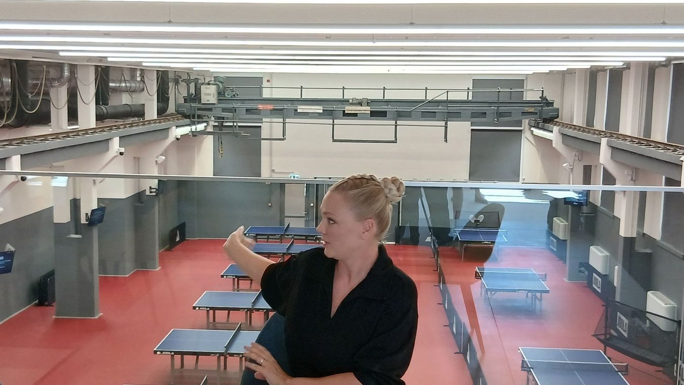 Póta Georgina