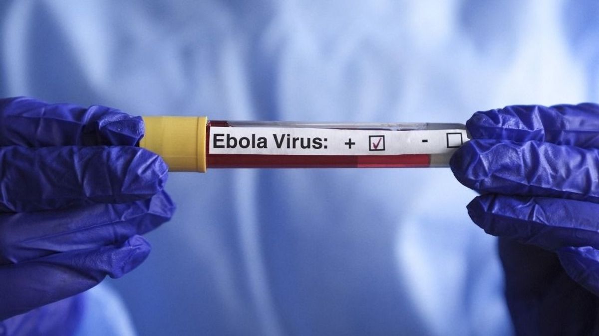 Magyarország közelébe érhetett az ebola