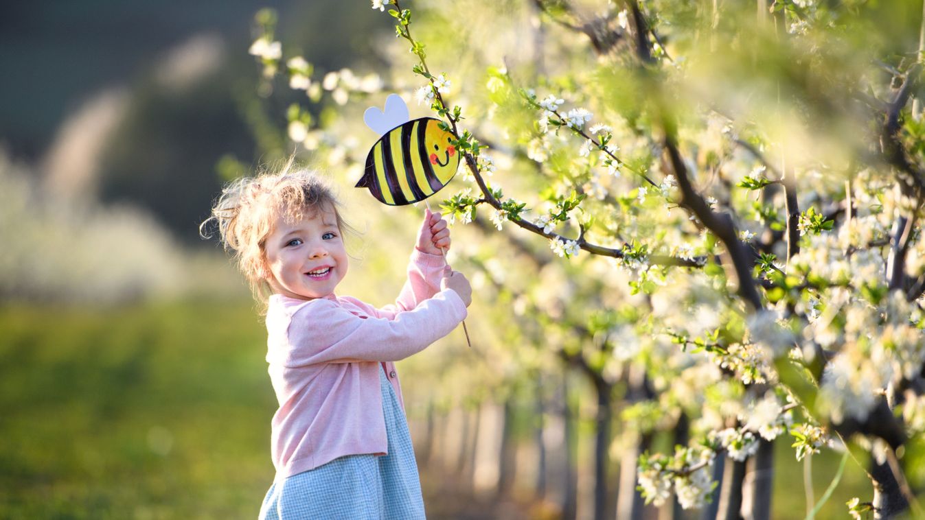Small toddler girl standing outdoors in orchard in spring, holding paper bee.
1721604724
Shutterstock
Ground Picture