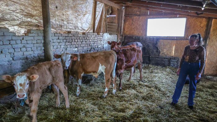 Élet a ceglédi tanyavilágban