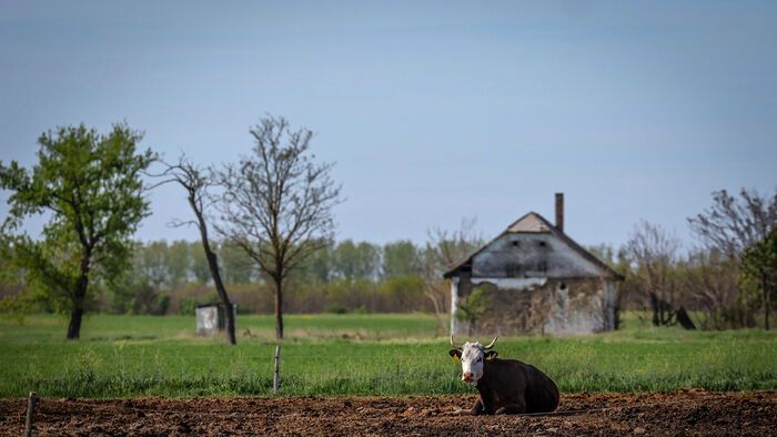 Élet a ceglédi tanyavilágban