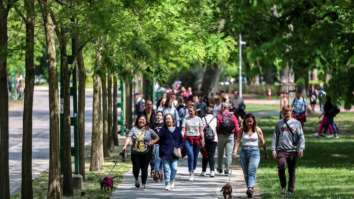 Dogz Fesztivál a Városligeti Nagyréten
majális
május 1.