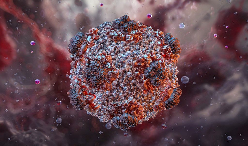 Illustration of a hantavirus, a rodent-borne virus that causes flu-like symptoms that eventually cause the lungs to fill with fluid, making breathing difficult. Medical attention must be sought as soon as infection is detected. (Photo by RUSLANAS BARANAUSKAS/SCIENCE PHO / RBU / Science Photo Library via AFP)