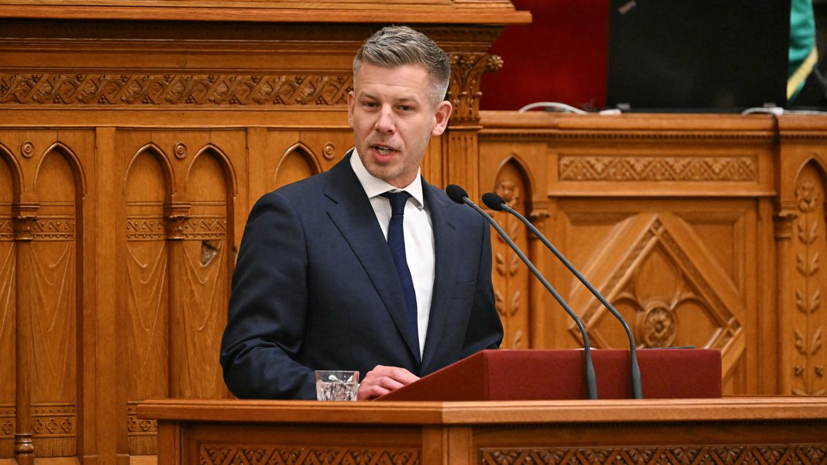 Magyar Péter terve még sokba kerülhet a magyar gazdaságnak