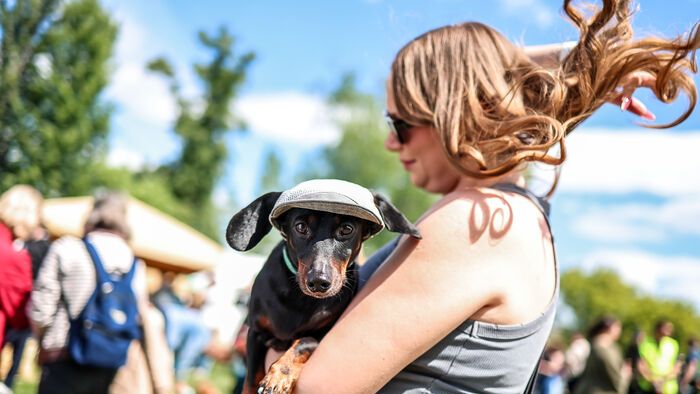 Dogz Fesztivál a Városligeti Nagyréten
majális
május 1.