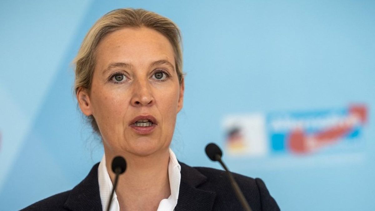 Brüsszel az AfD európai pártszövetségének betiltásán dolgozik