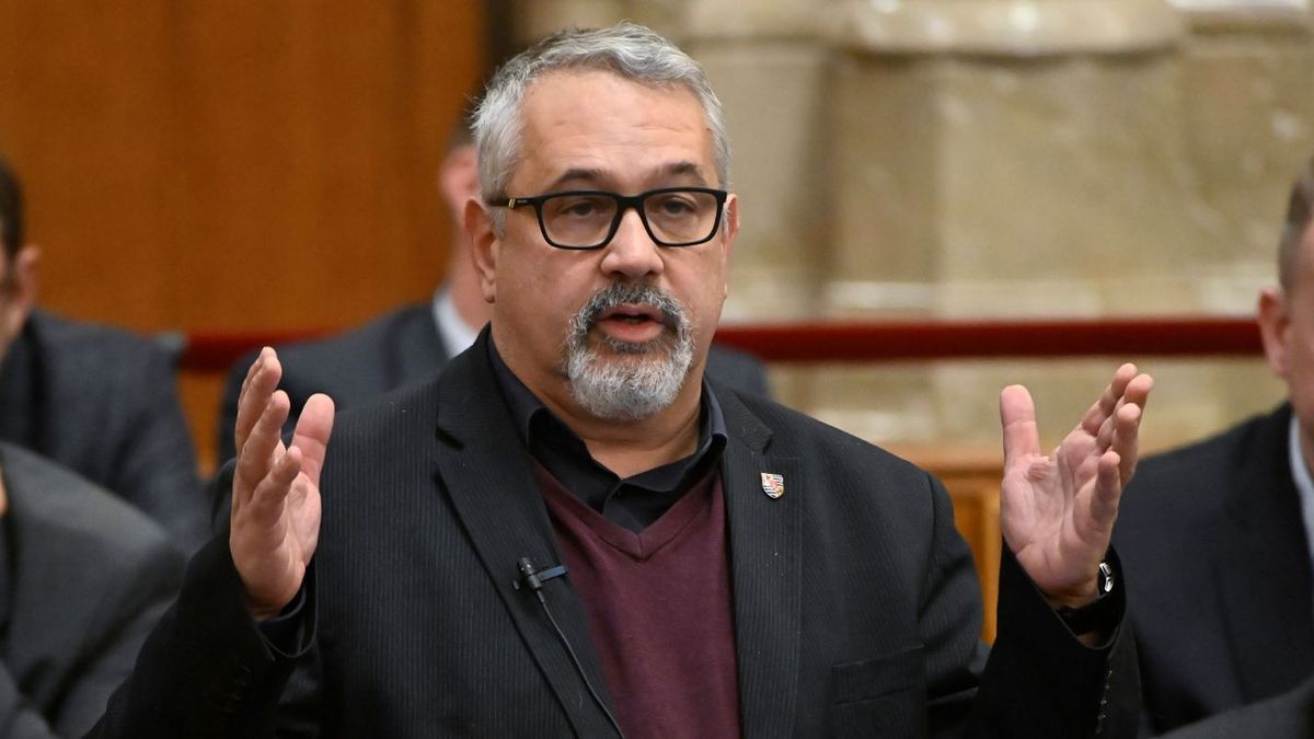 Zsolt-bácsi-ügy: bíróság előtt kell felelnie Arató Gergelynek